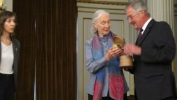 Programa de sustentabilidad