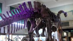 El mundo de los dinosaurios